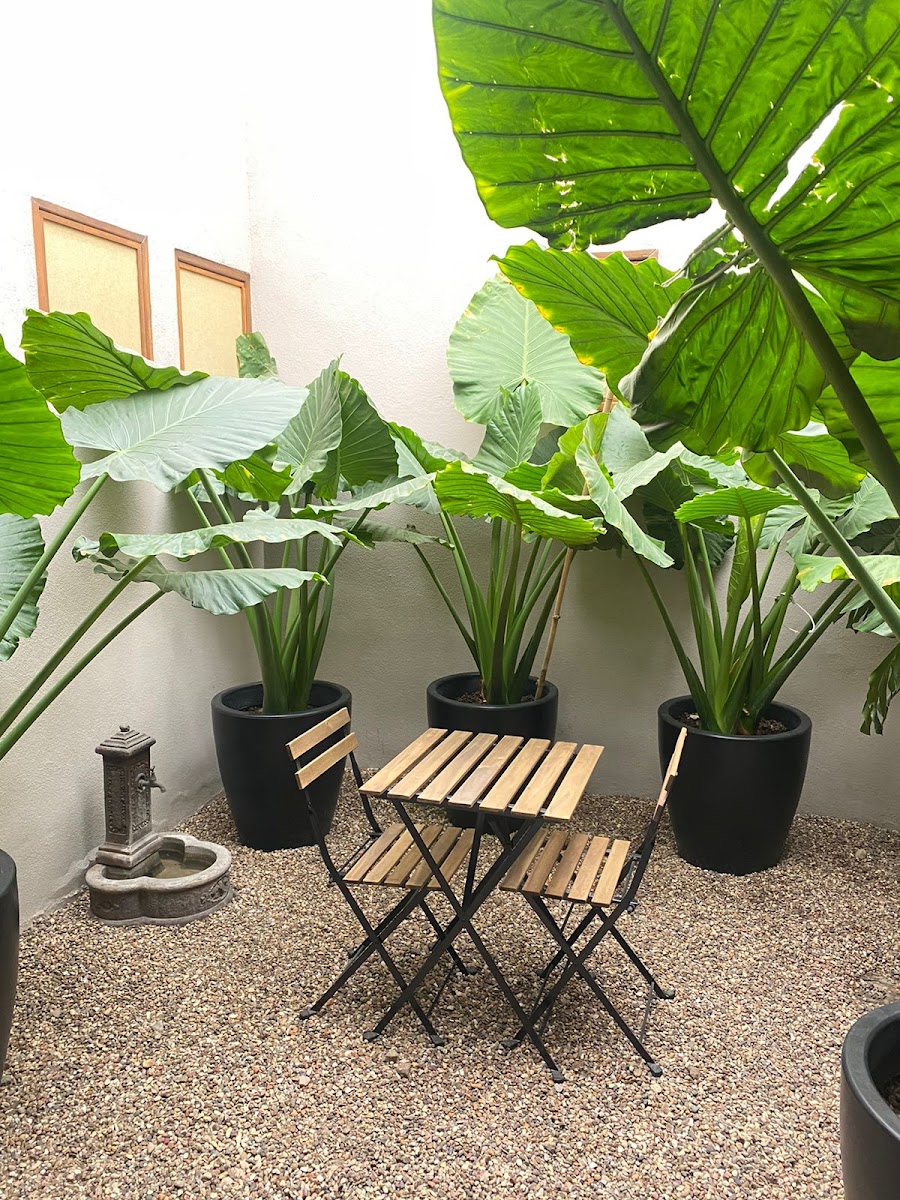 Hacienda Álamos photo 3