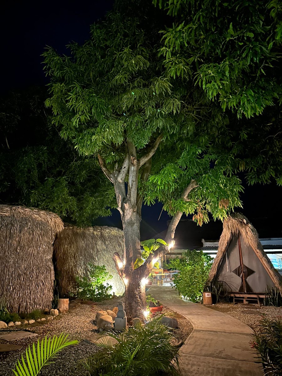 Tribu Glamping & Surf photo 2