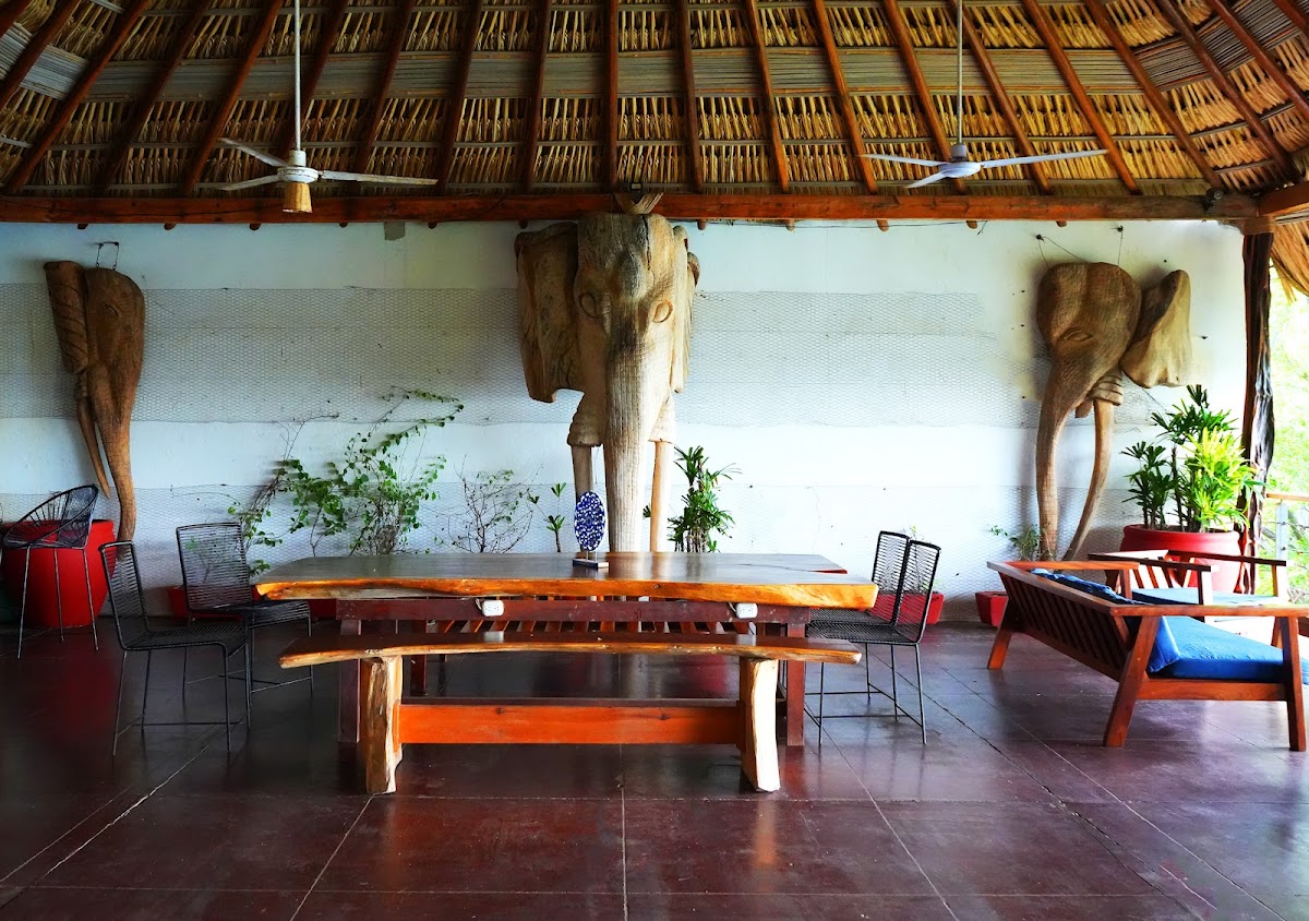 Tribu Glamping & Surf photo 3