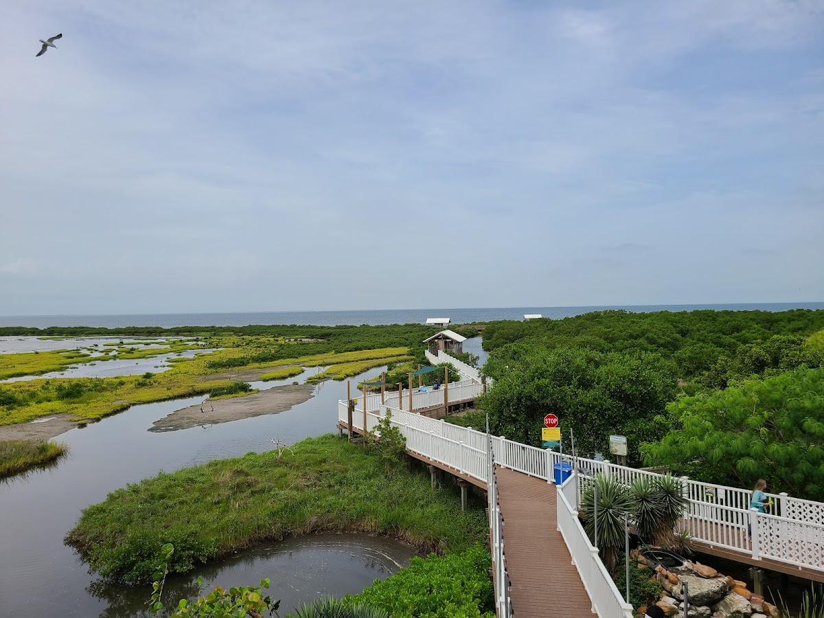 South Padre Island Birding And Nature Center