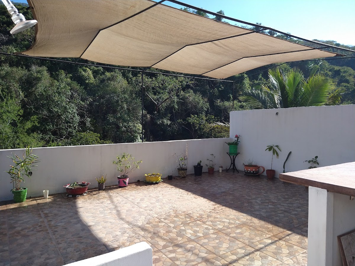 Casa Rio Cuale photo 3