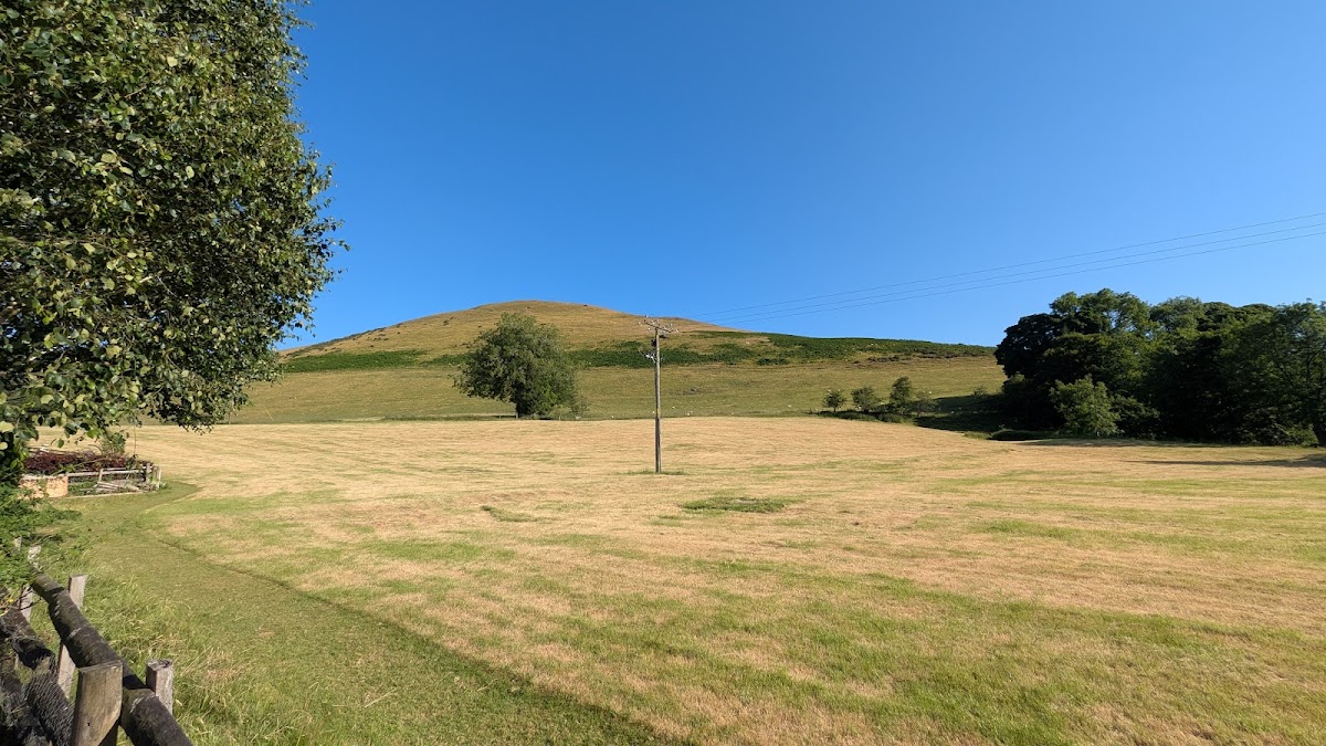The Hand at Llanarmon Ltd photo 3