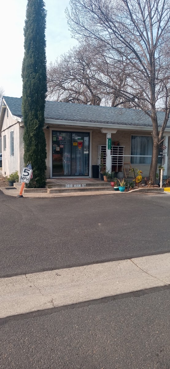 Alamo RV Park LLC