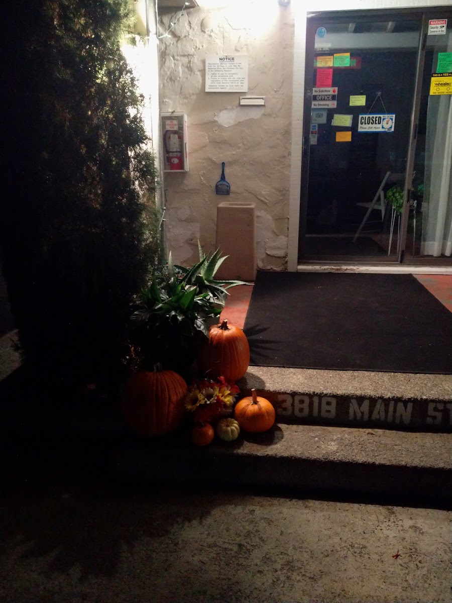 Alamo RV Park LLC photo 3