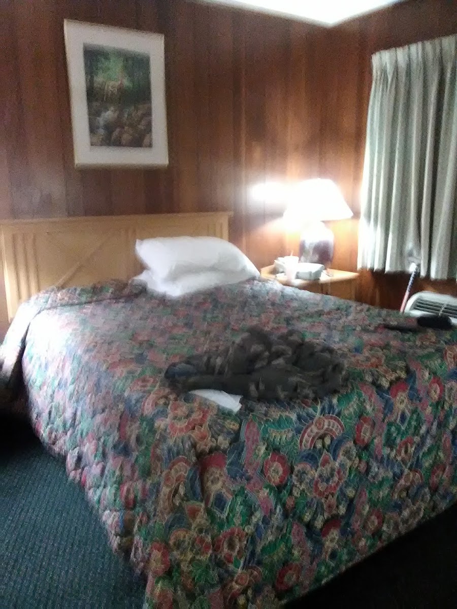 Room 3