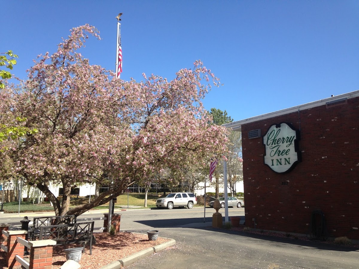 Cherry Tree Inn photo 3