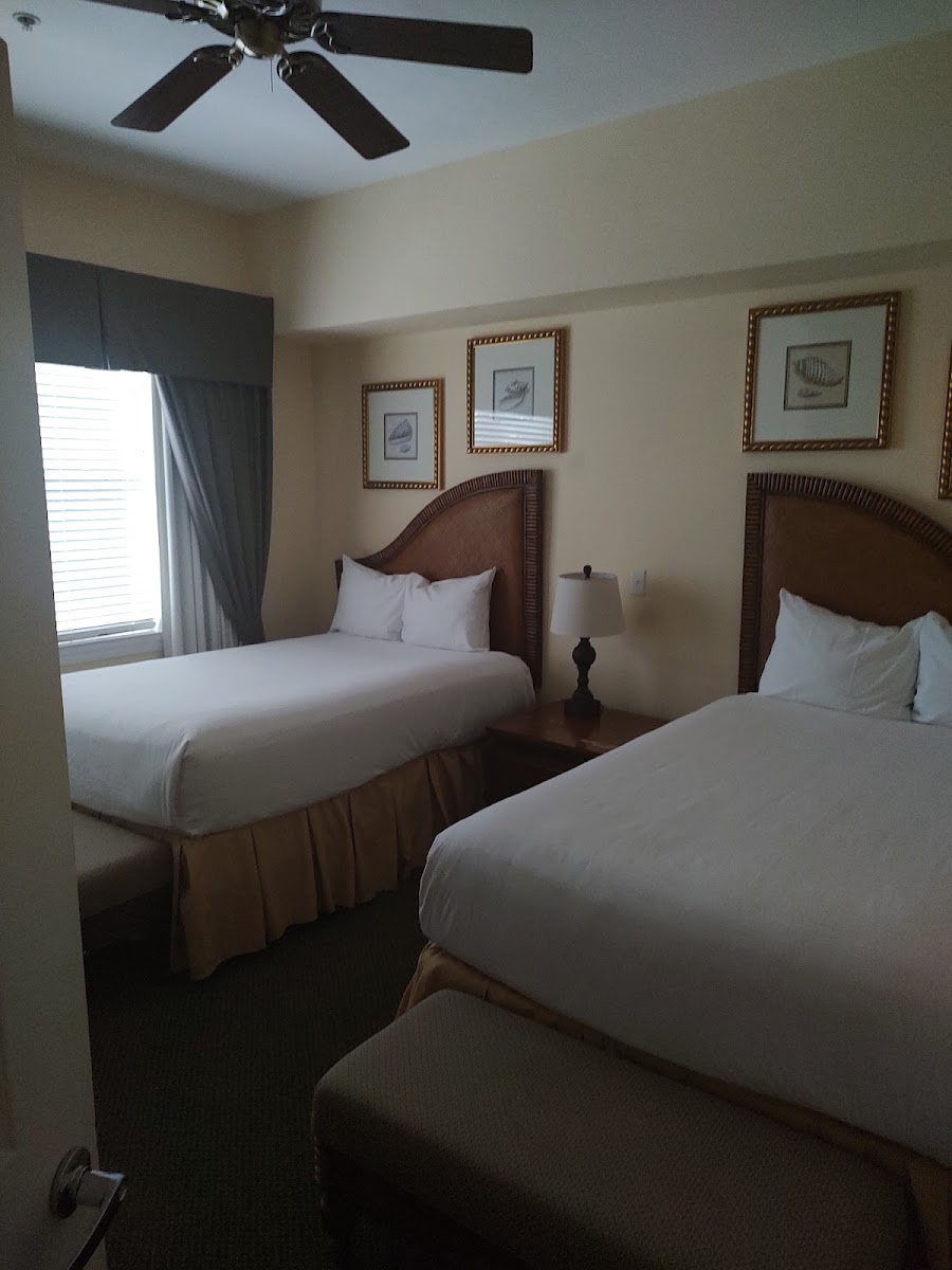Reunion resort photo 2