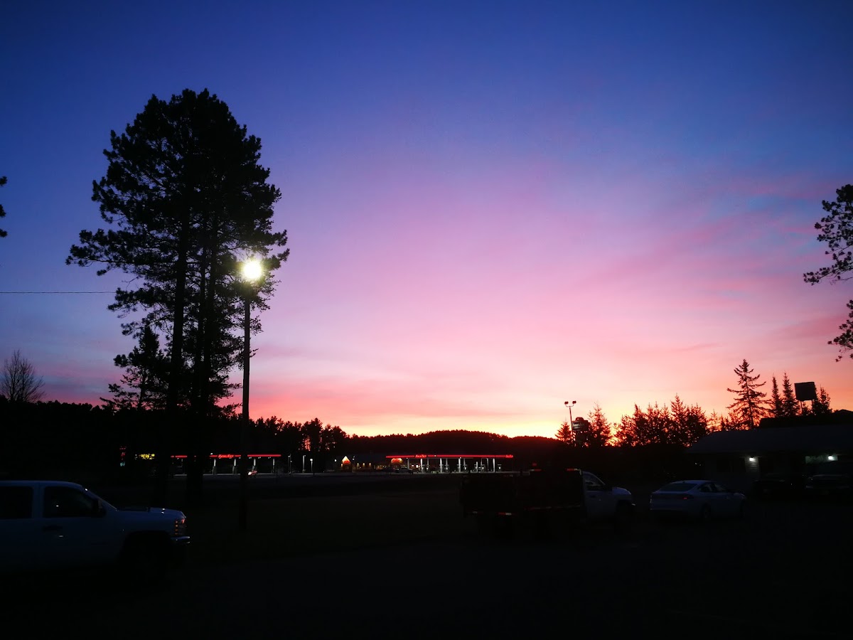 Royal Pines lnn photo 3