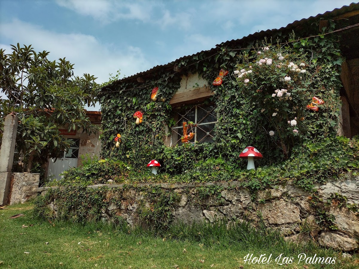 Hotel Las Palmas By GEstores