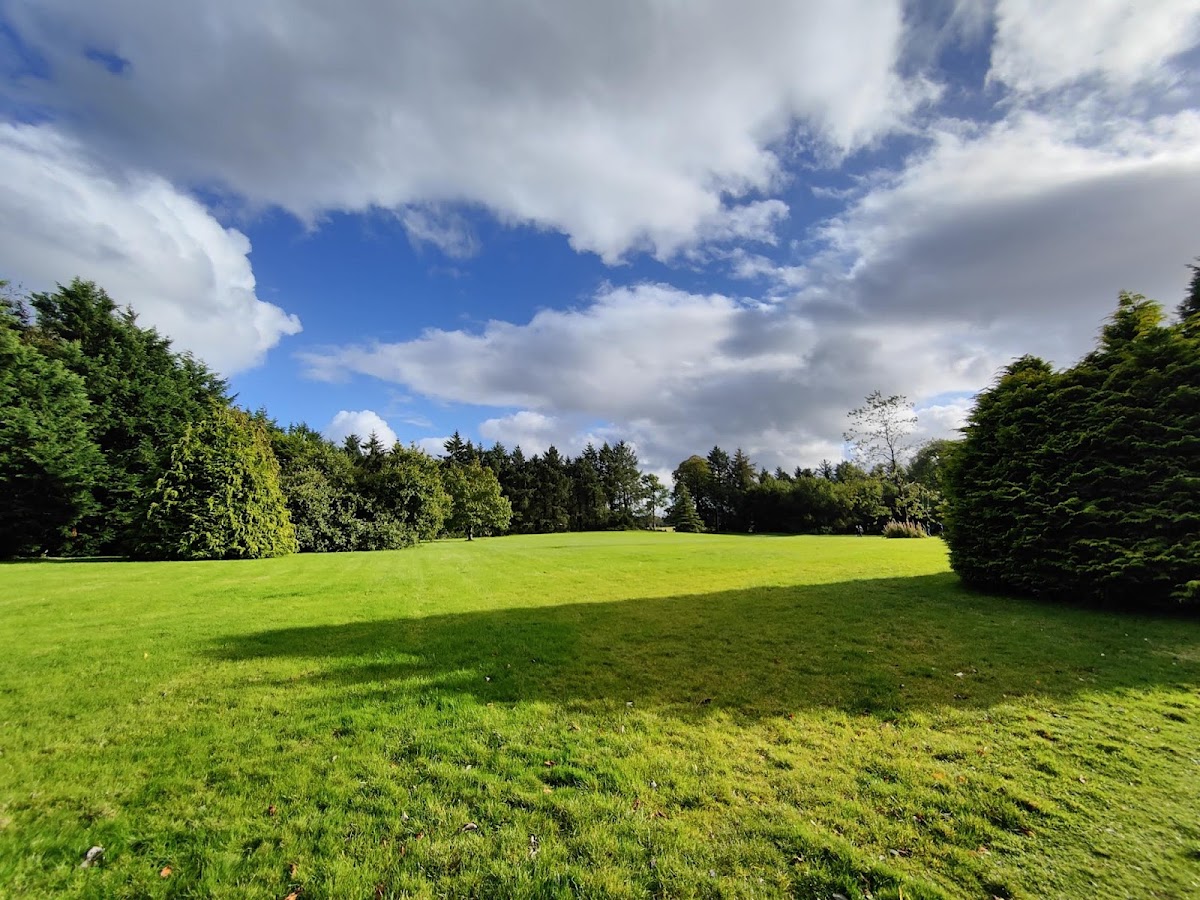 Dark Hedges Estate