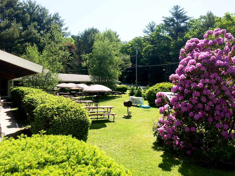 Mohican Lake Resort photo 3