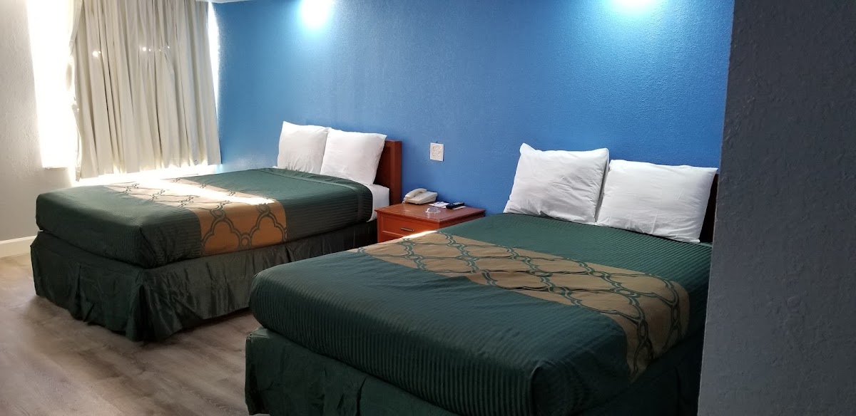 Room 8