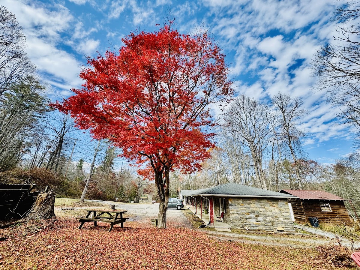 Parkview Lodge & Cabins photo 3
