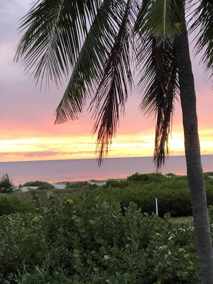 Caribbean Beach Club photo 3