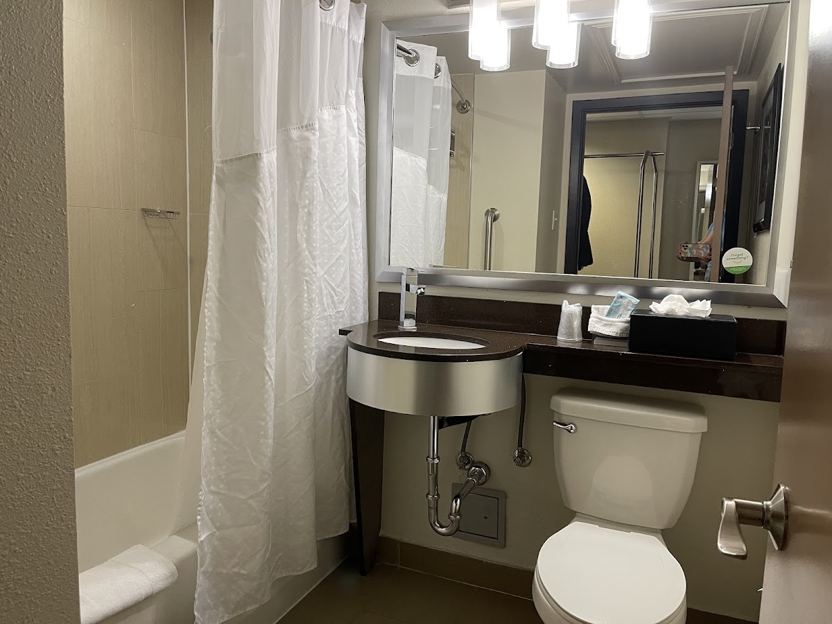 Holiday Inn Houston Downtown, an IHG Hotel photo 3
