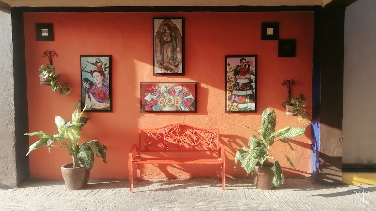 Hotel Amega photo 3