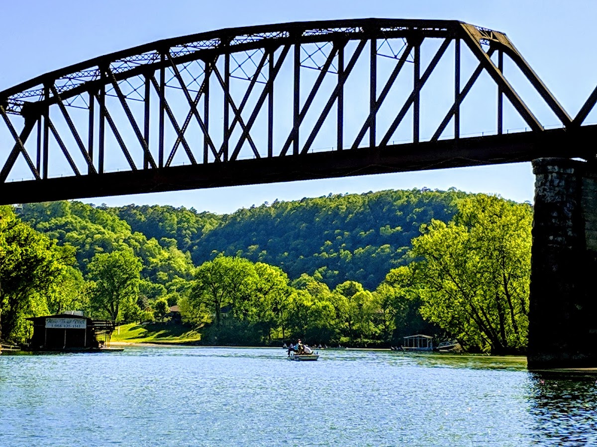 Norfork River Resort Inc photo 3