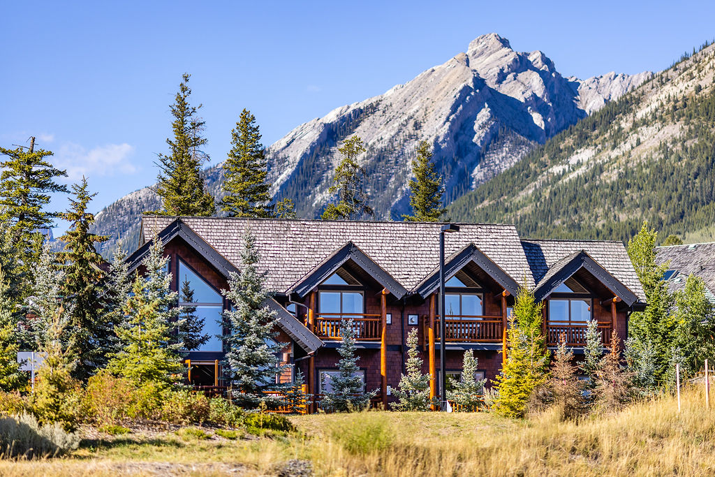 A Bear & Bison Inn