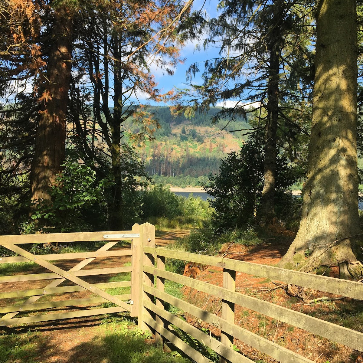 Dale Head Hall Lakeside Hotel photo 2