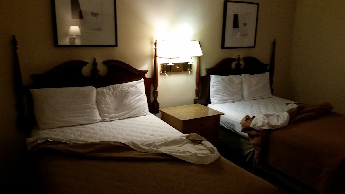Room 5