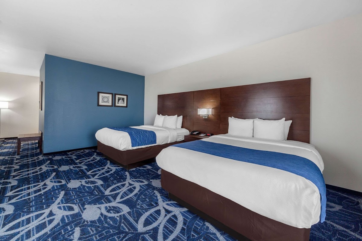 Comfort Inn & Suites Oklahoma City South I-35 photo 2