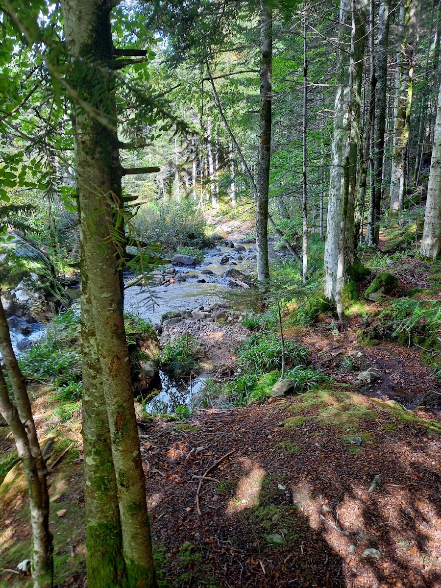 Monts du Forez