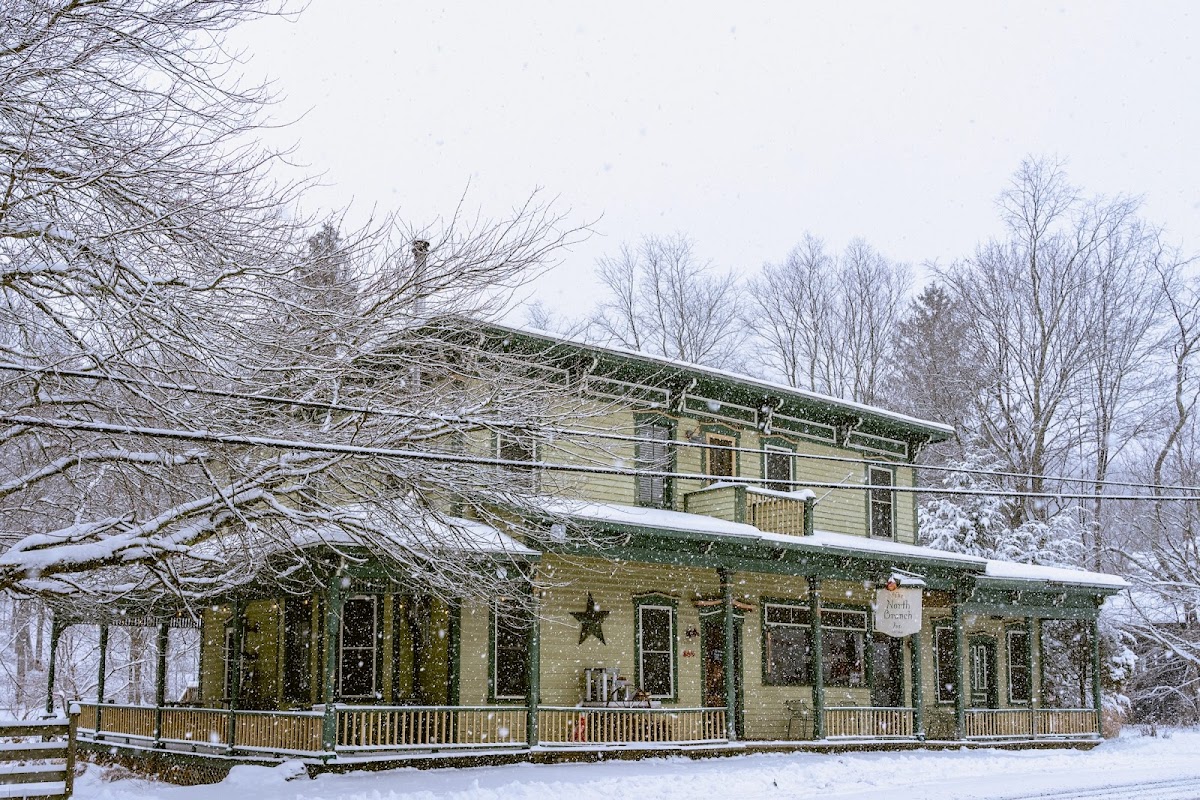 The North Branch Inn photo 3