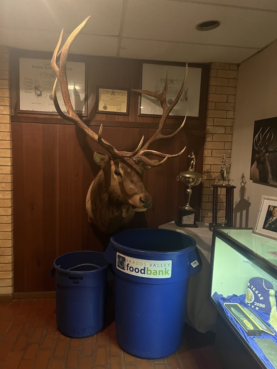 Elk Lodge photo 2