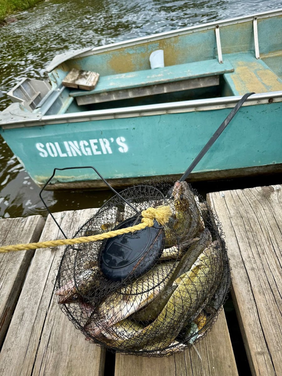 Solinger's Resort photo 2