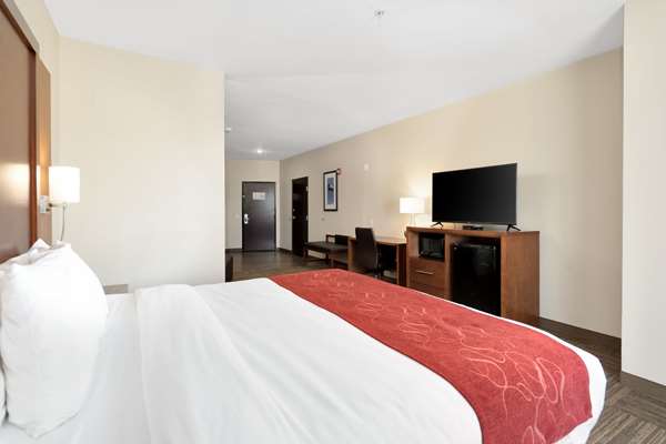 Comfort Suites University photo 2