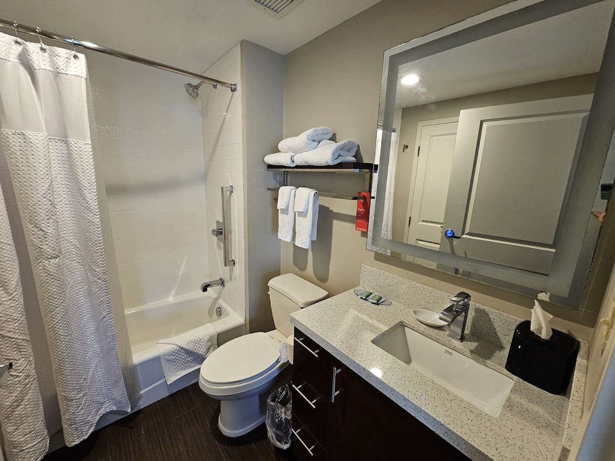 TownePlace Suites by Marriott Detroit Canton photo 3