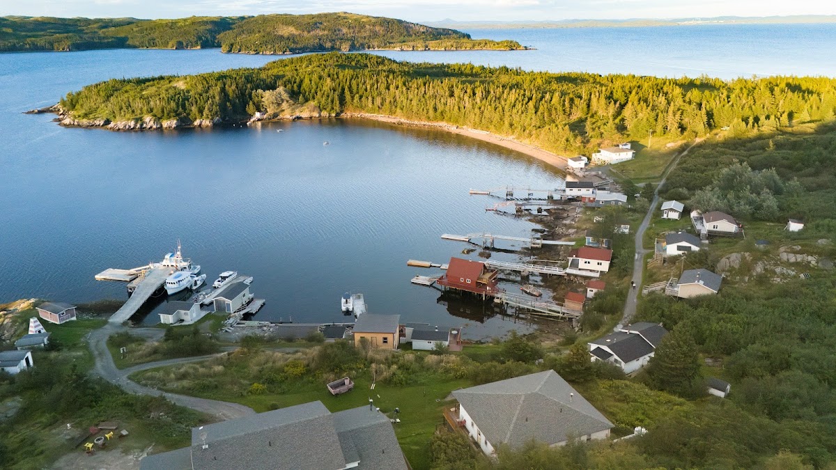 Woody Island Resort photo 3