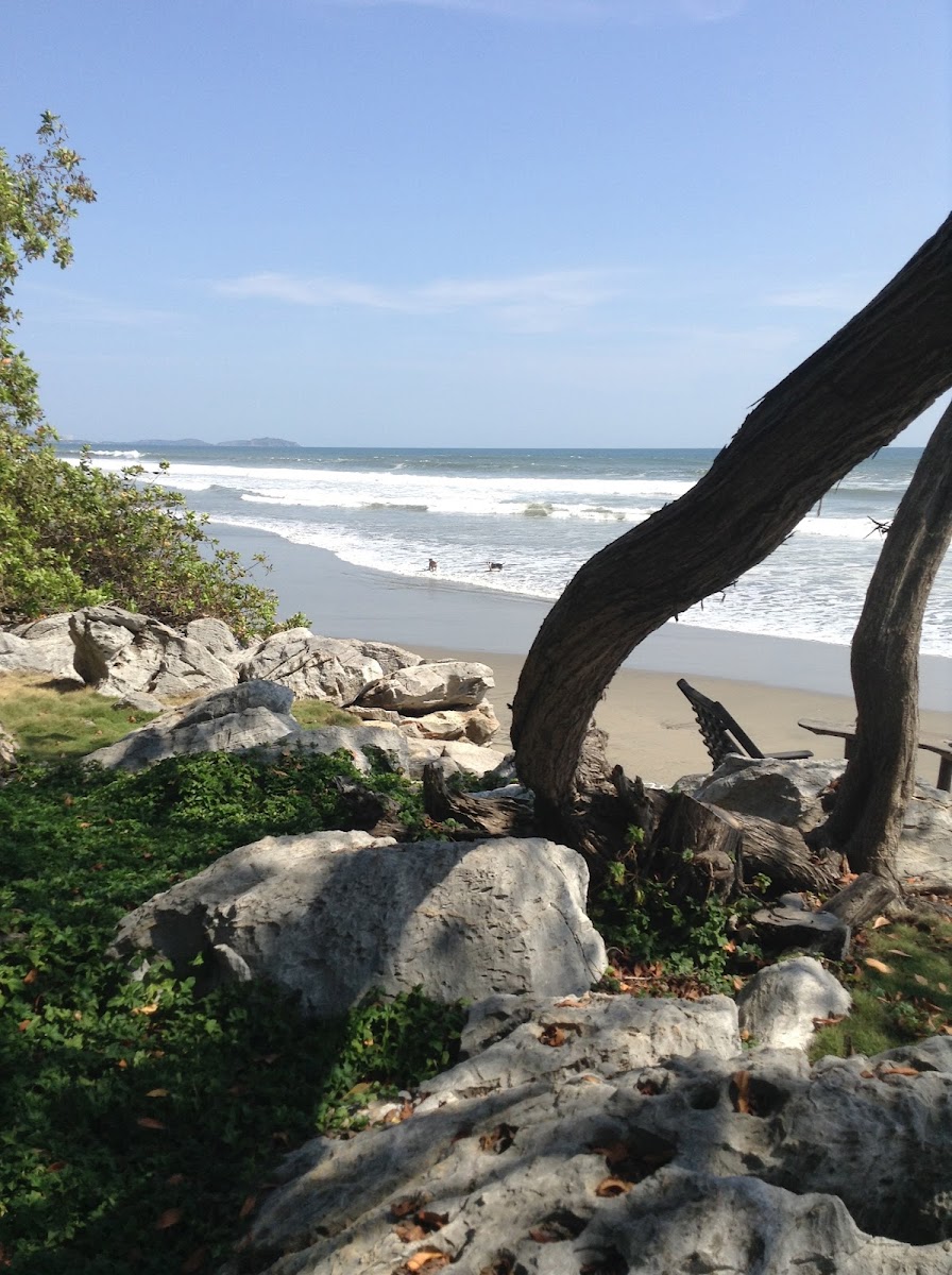 Playa Buenavista