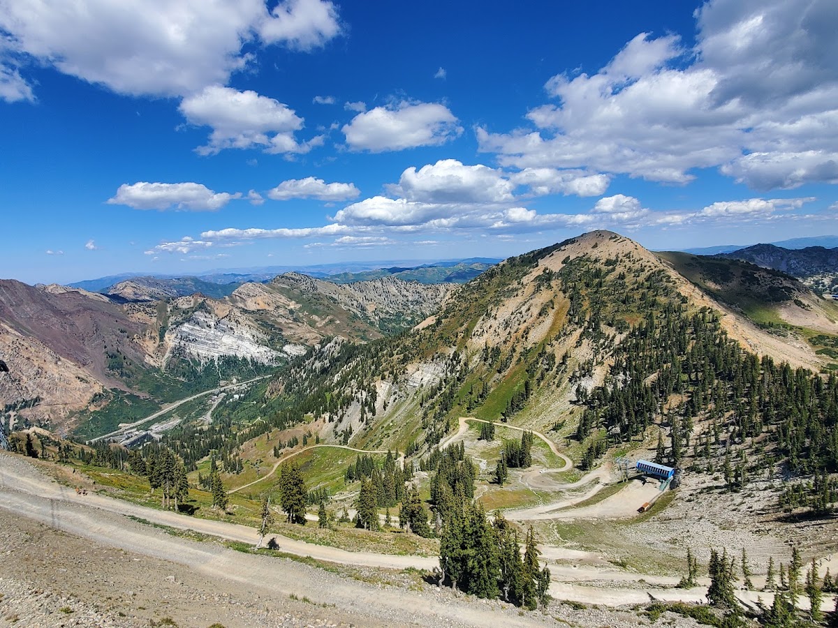 Snowbird photo 2