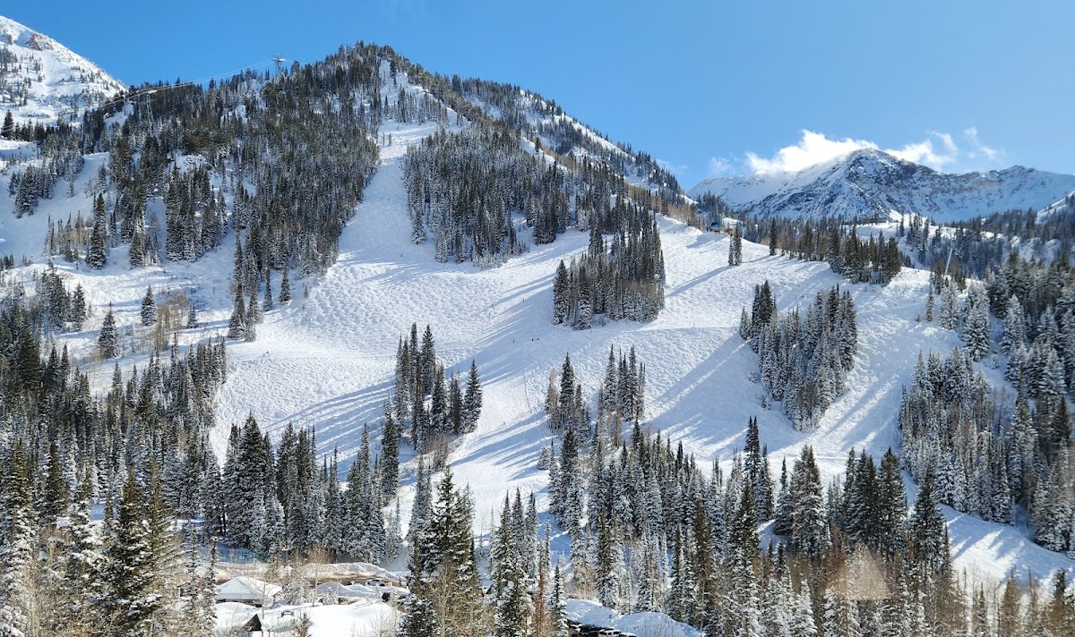 Snowbird photo 3