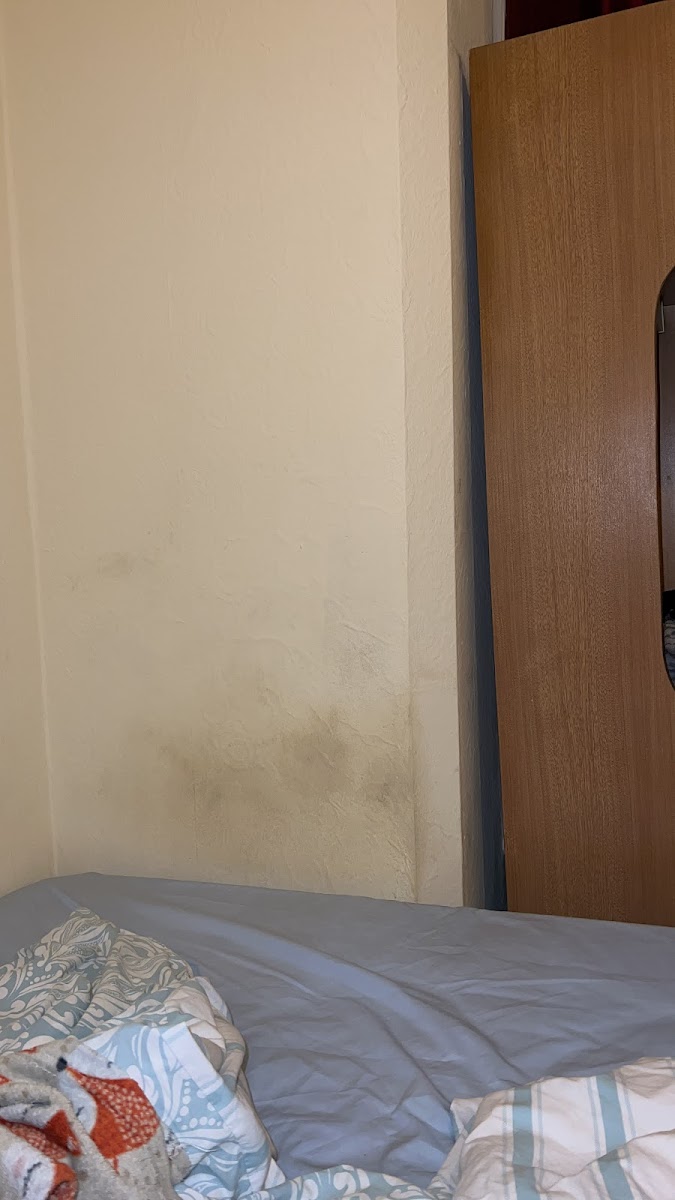 Room 1
