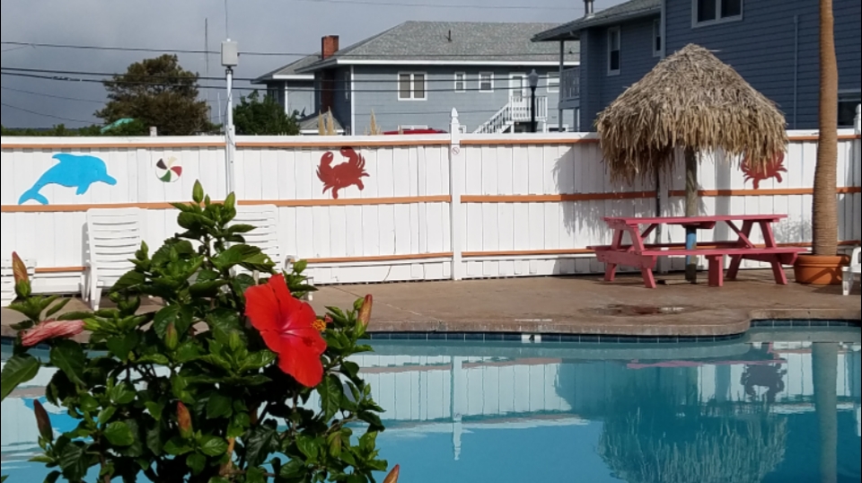 Blue Wave Inn photo 3