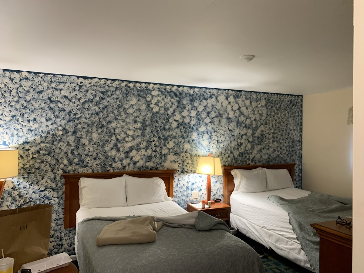 Sara Glen Motel photo 2