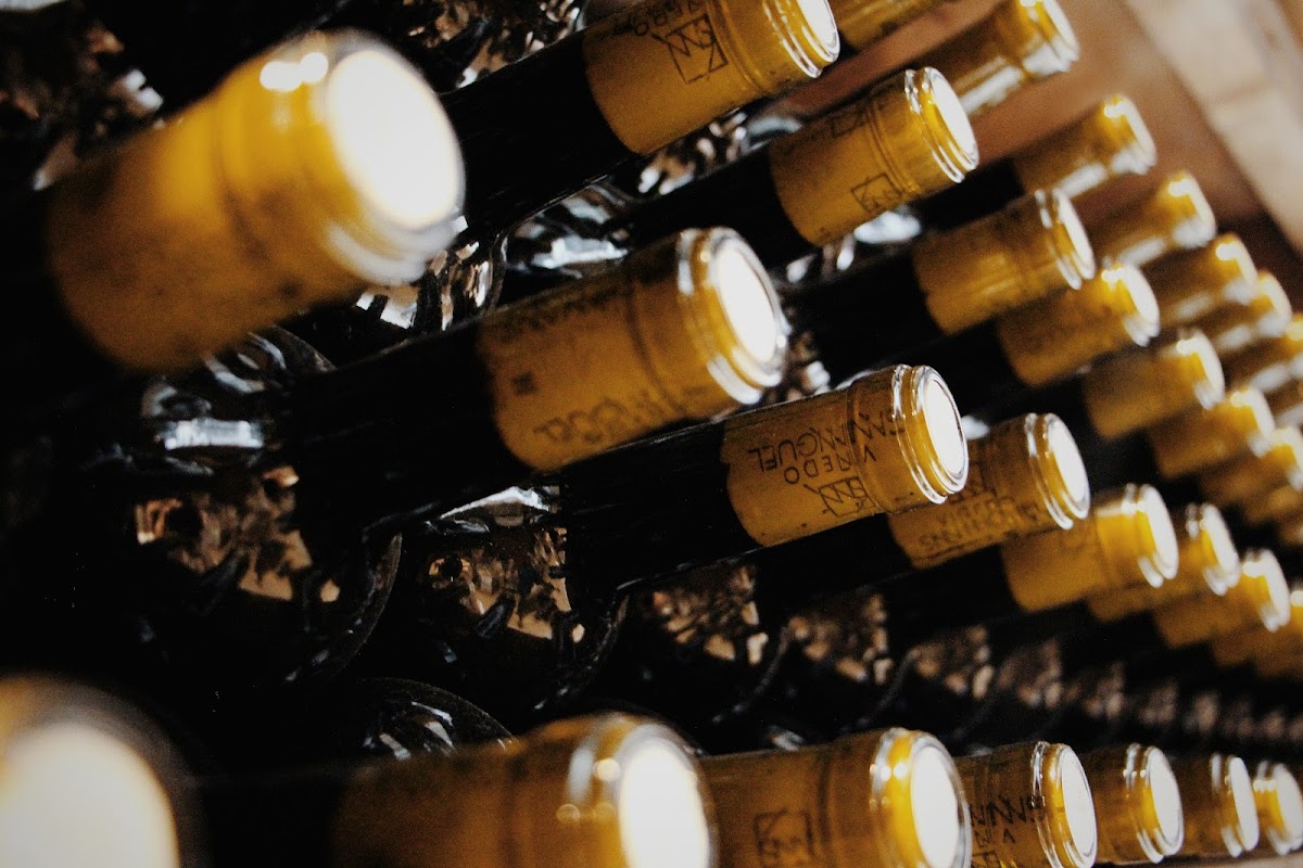 San Miguel Vineyard