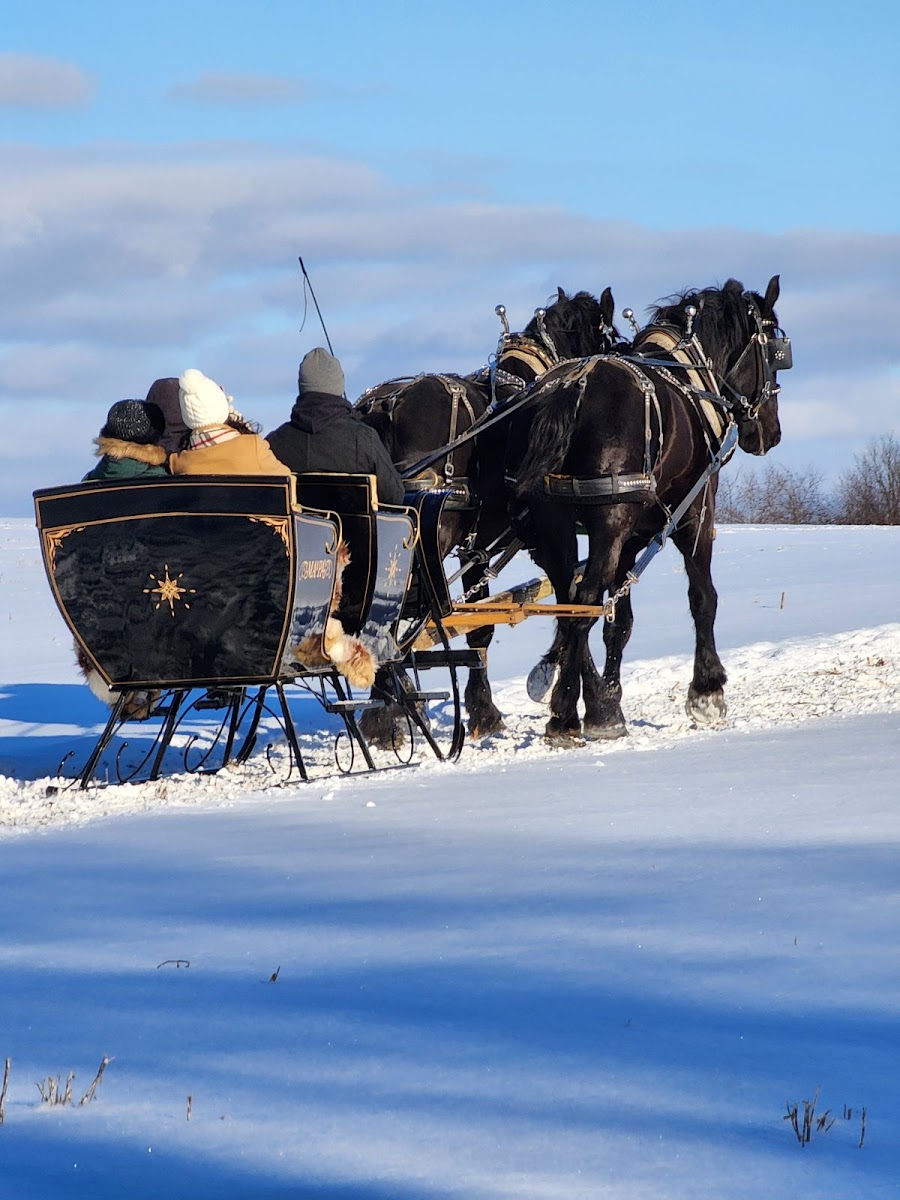 Ma & Pa's Cabin & Sleigh Rides photo 3