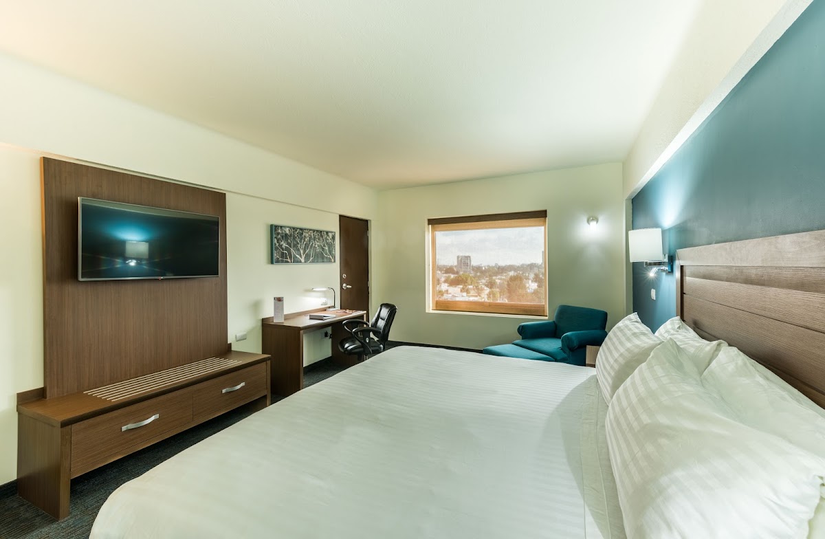 Holiday Inn Guadalajara Expo by IHG photo 2