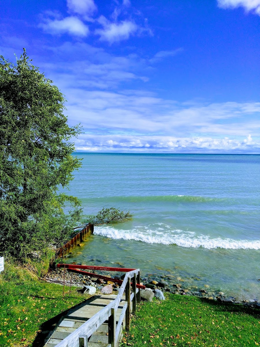 Harbourfront Motel photo 2