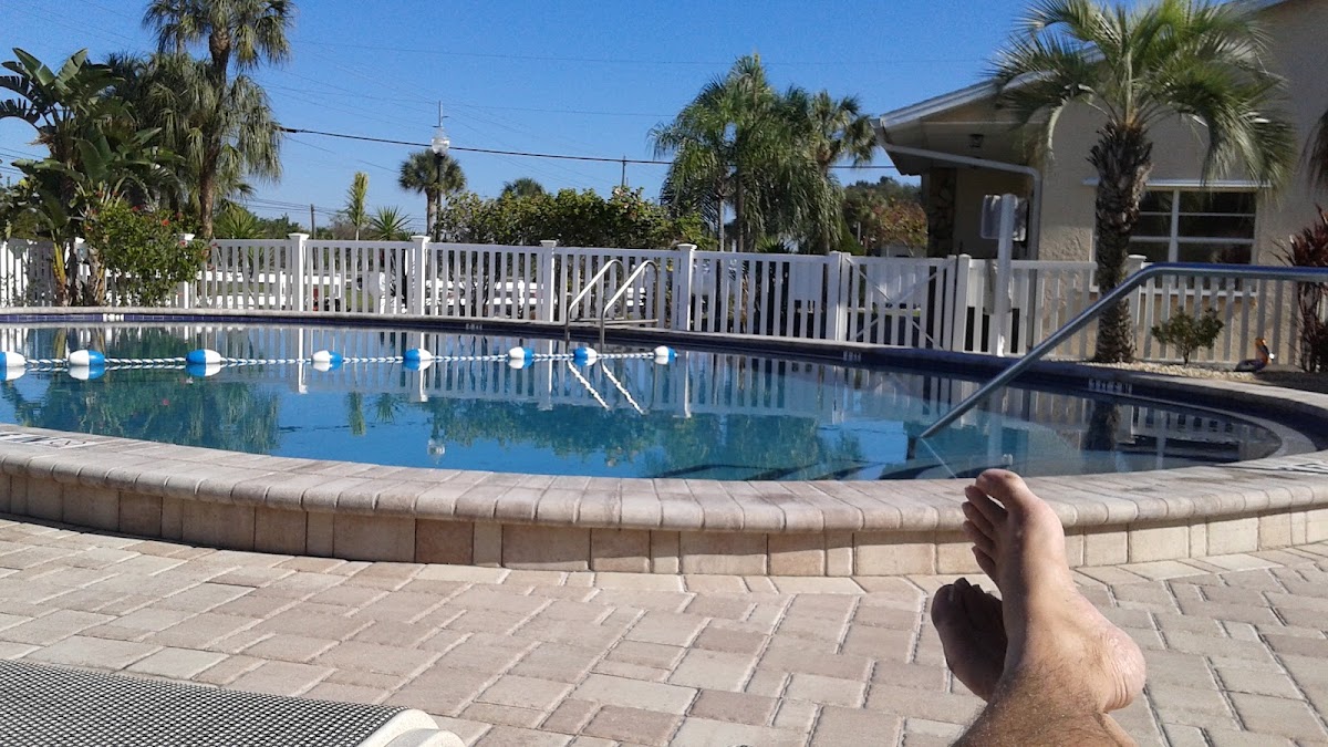 Tampa South RV Resort photo 2