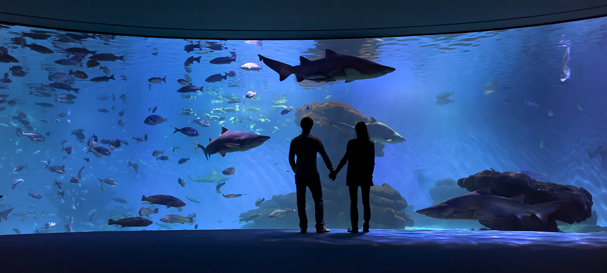 Palma Aquàrium