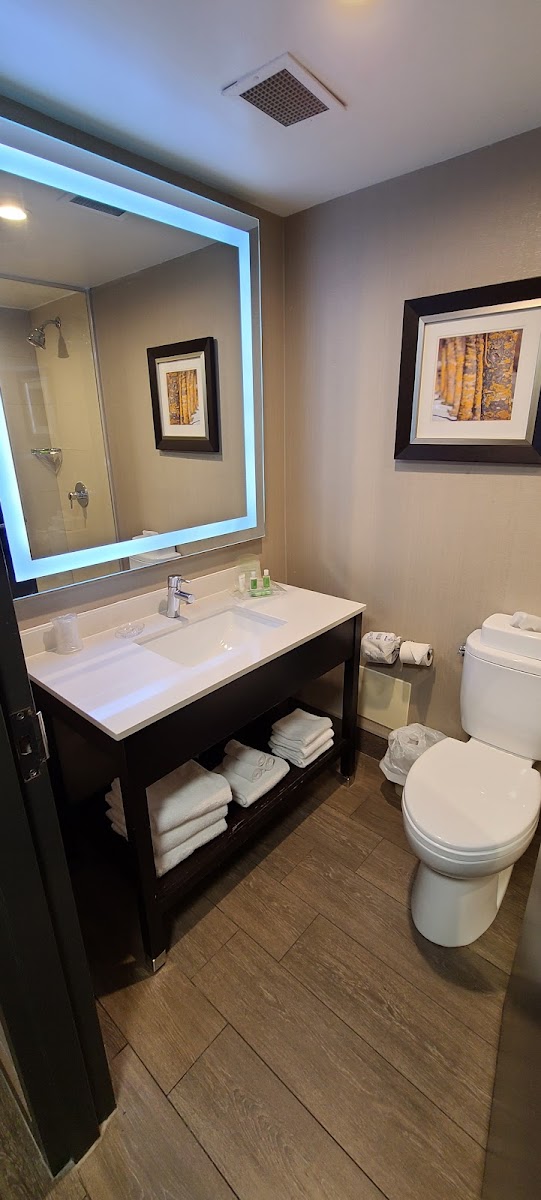 Holiday Inn Sudbury by IHG photo 3