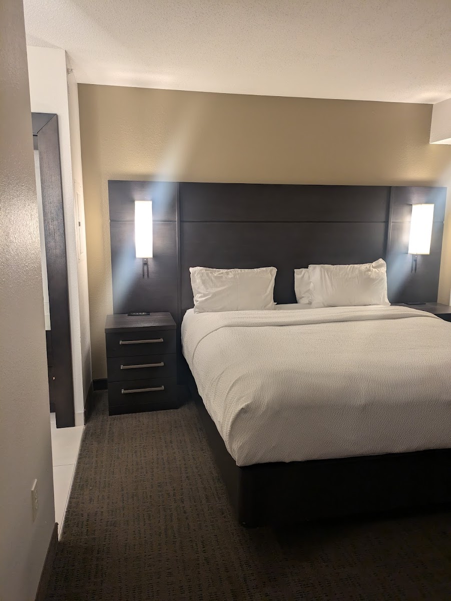 Residence Inn by Marriott Boston Westford photo 2