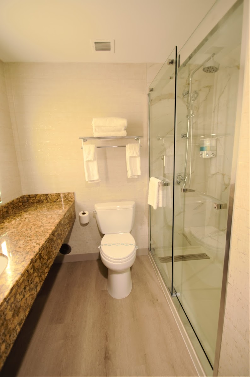 Midnight Rose Hotel & Casino photo 3