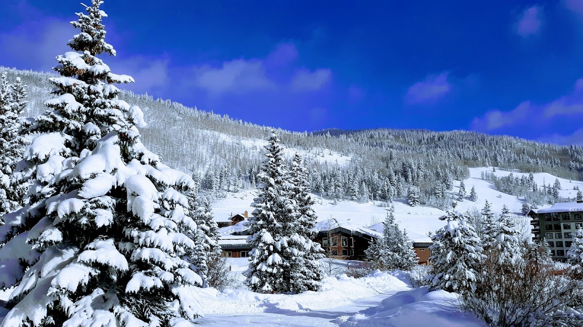 The Lodge at Copper Mountain photo 2