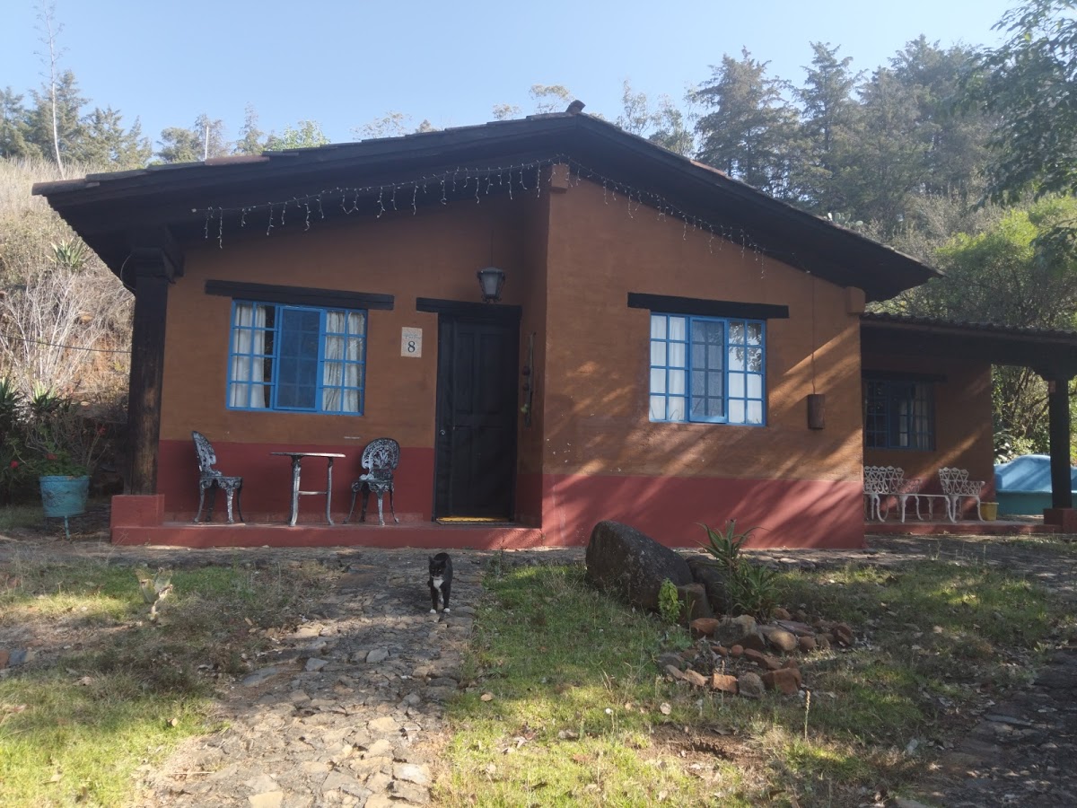 La Casa en el Bosque