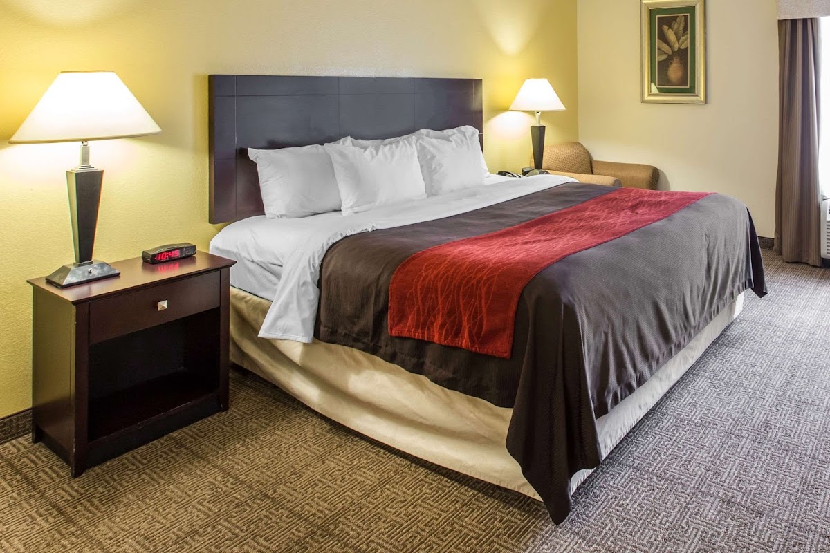 Comfort Inn & Suites Thomson photo 2
